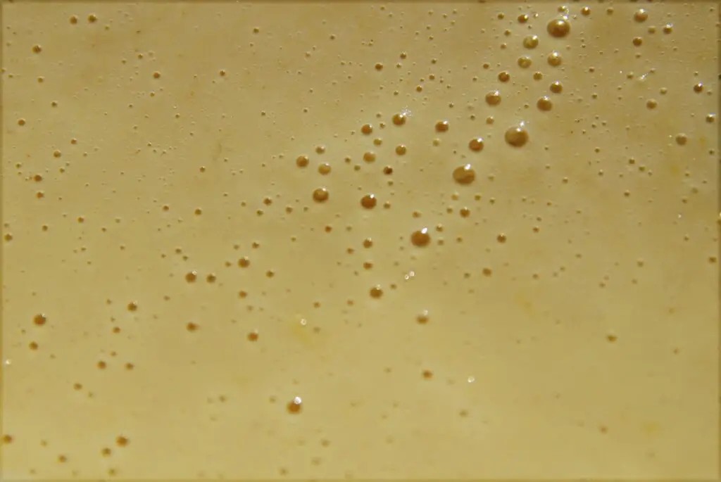 Crêpes à la Farine Complète Spécial Régime