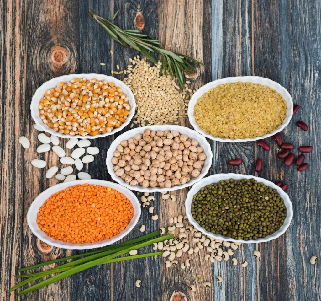 Recette végétarien