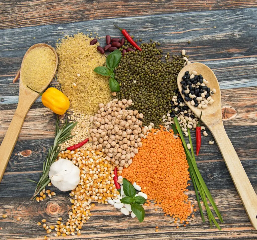 Recette végétarien