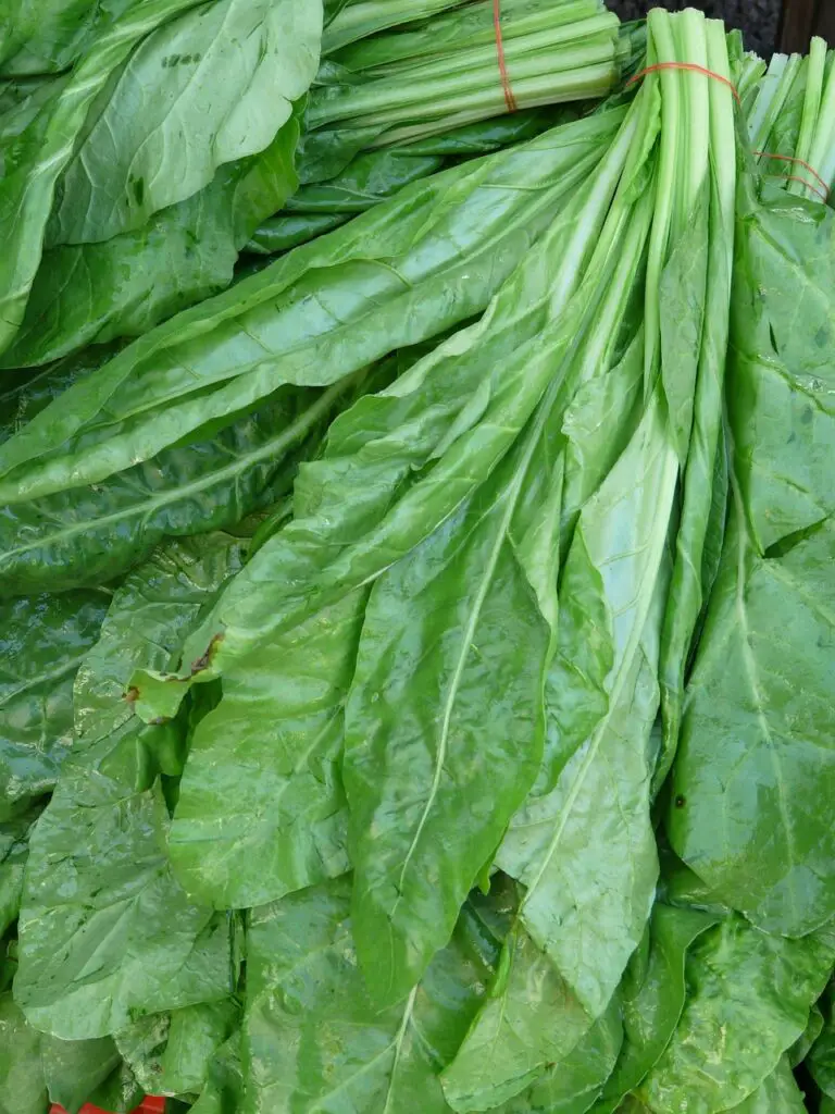 Quiche aux épinards 🥬 : une recette pleine de peps, de tendresse... et de fromage fondu 🧀