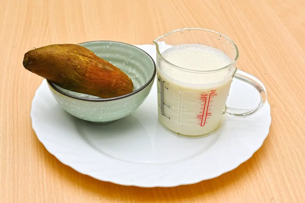 Ligue des champions des recettes vegan