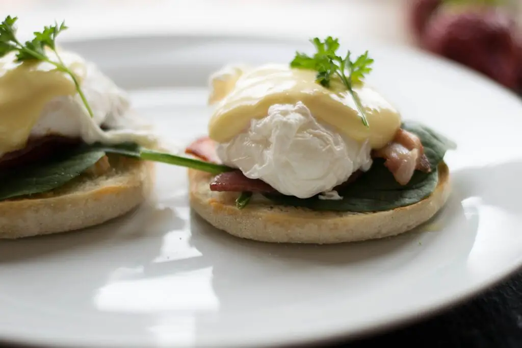 Brunch Végétarien Éclatant : Un Festival de Saveurs Sans Viande mais Plein de Vie !