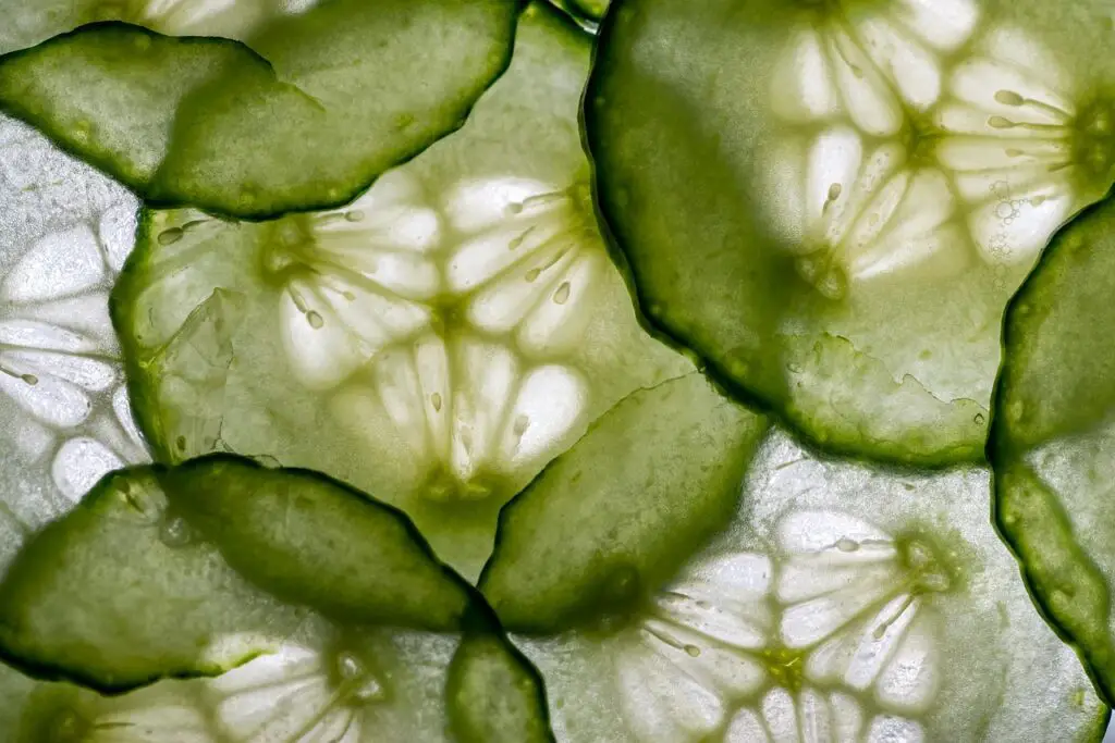 Velouté Détox de Courgette