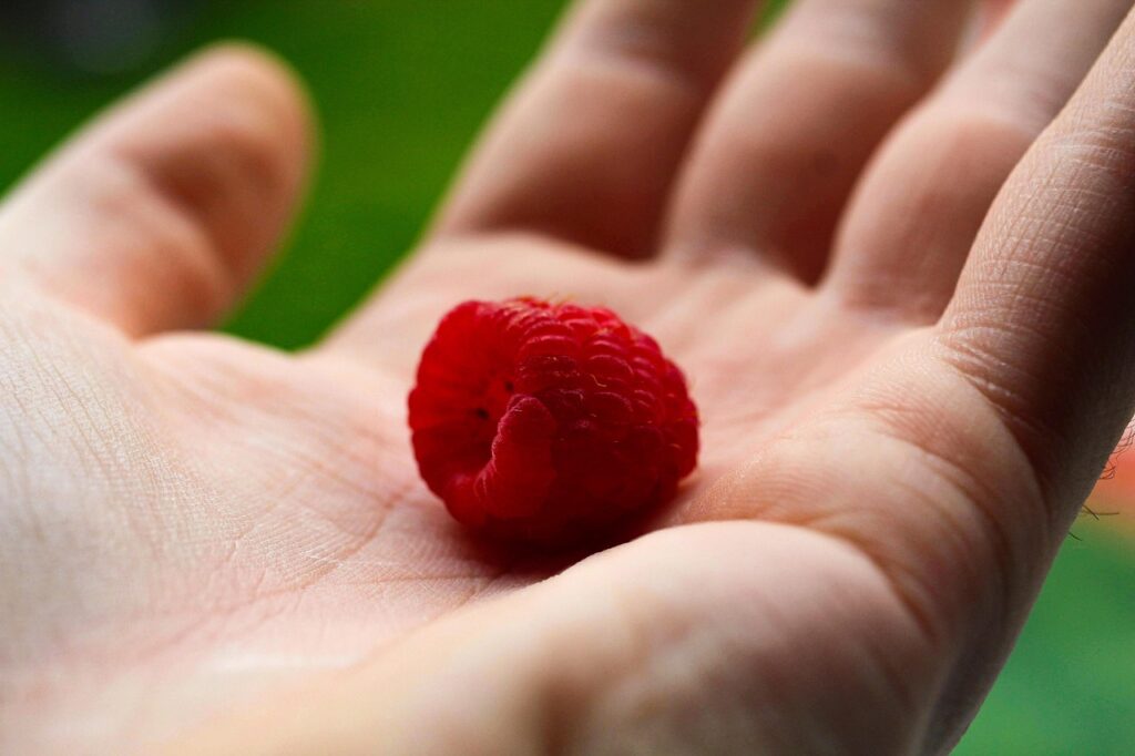 Crème glacée à la framboise maison : fraîche, onctueuse et fruitée