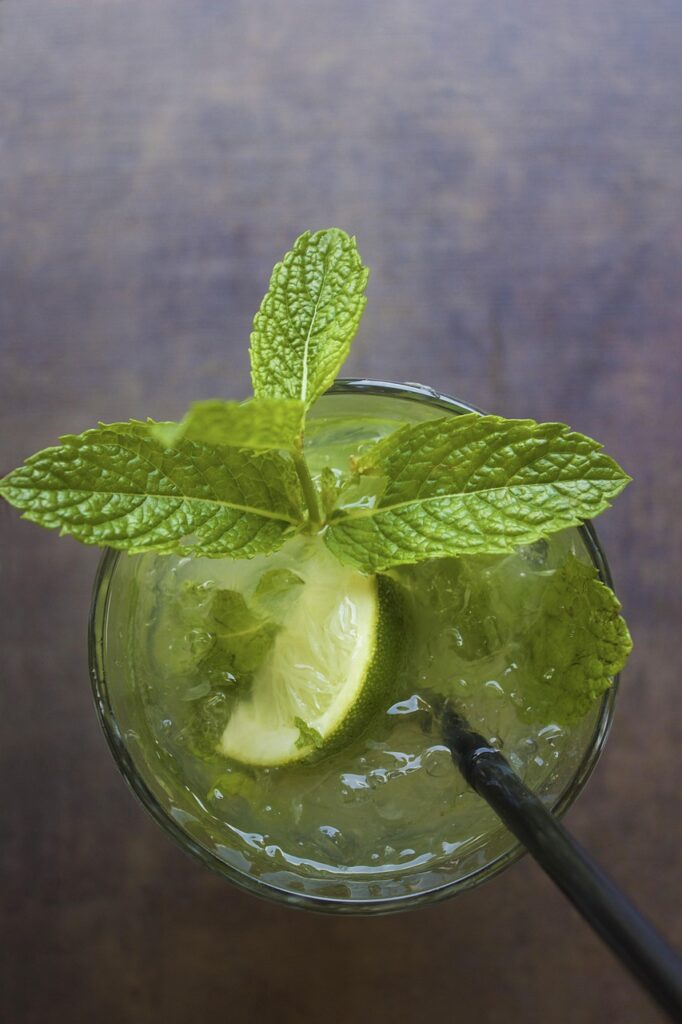 Mojito Maison : La Recette Authentique du Cocktail Cubain