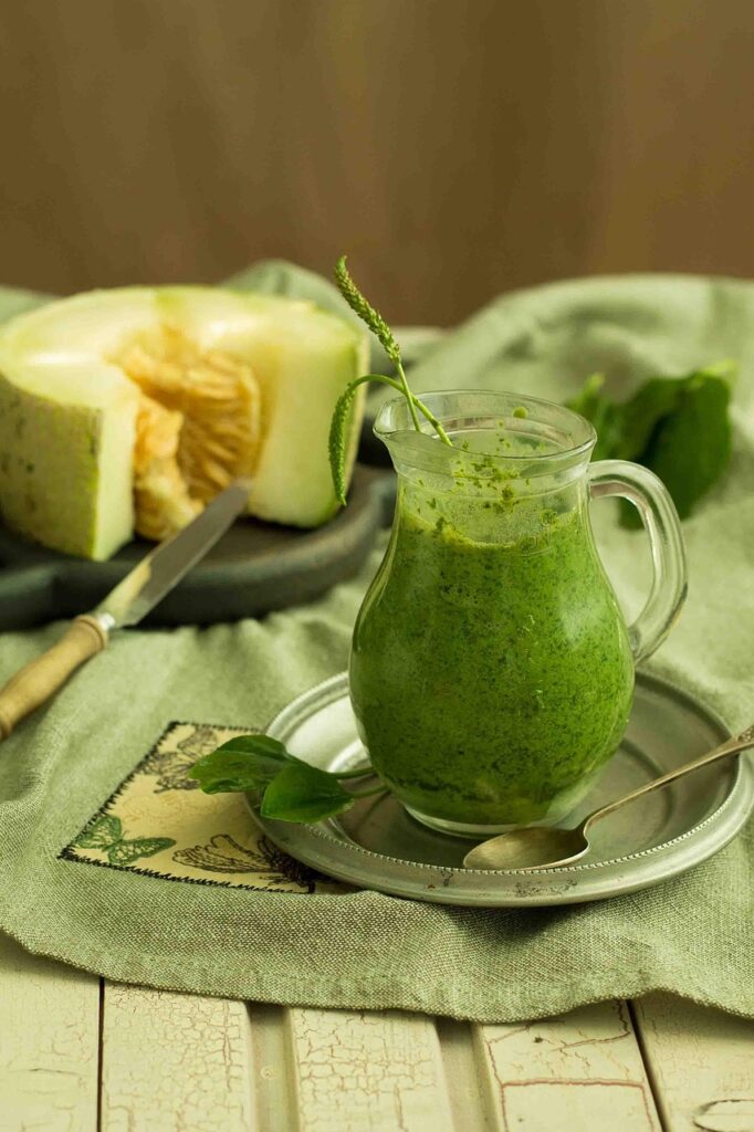 Smoothie aloe et boissons bien-être : la tendance santé à adopter